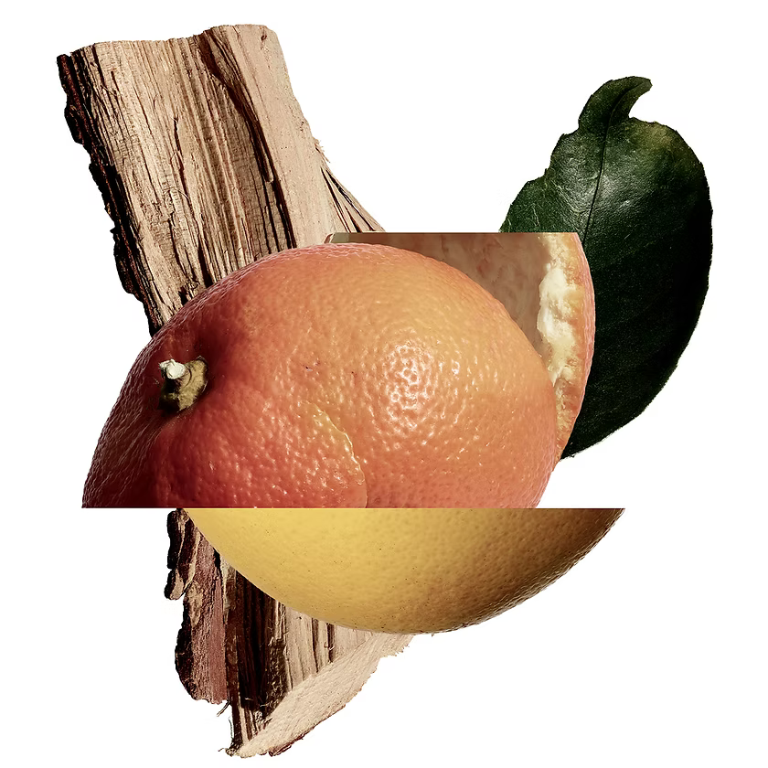 New Notes - Akigala Mandarino (EdE)