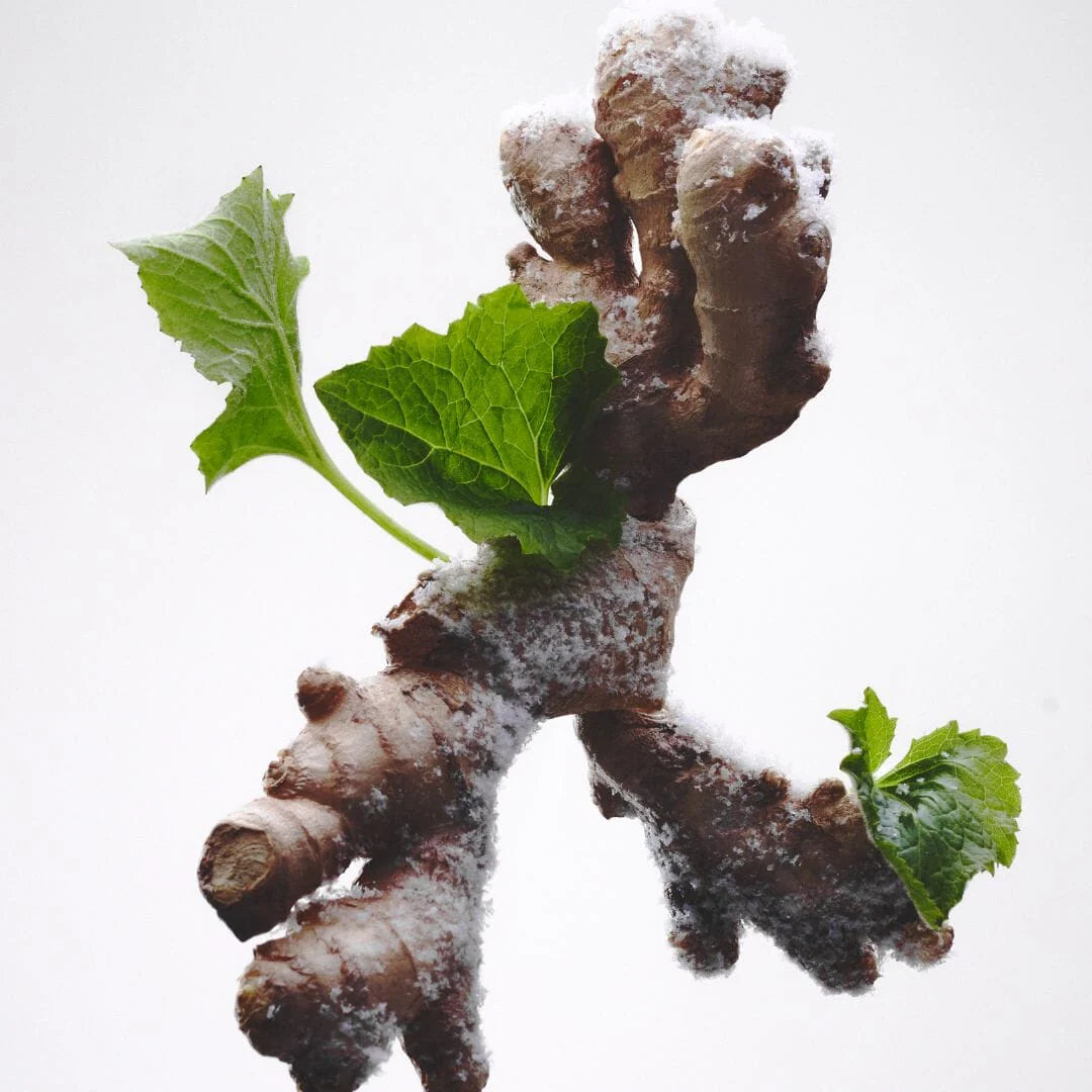 Bon Parfumeur - 803 (EdP)