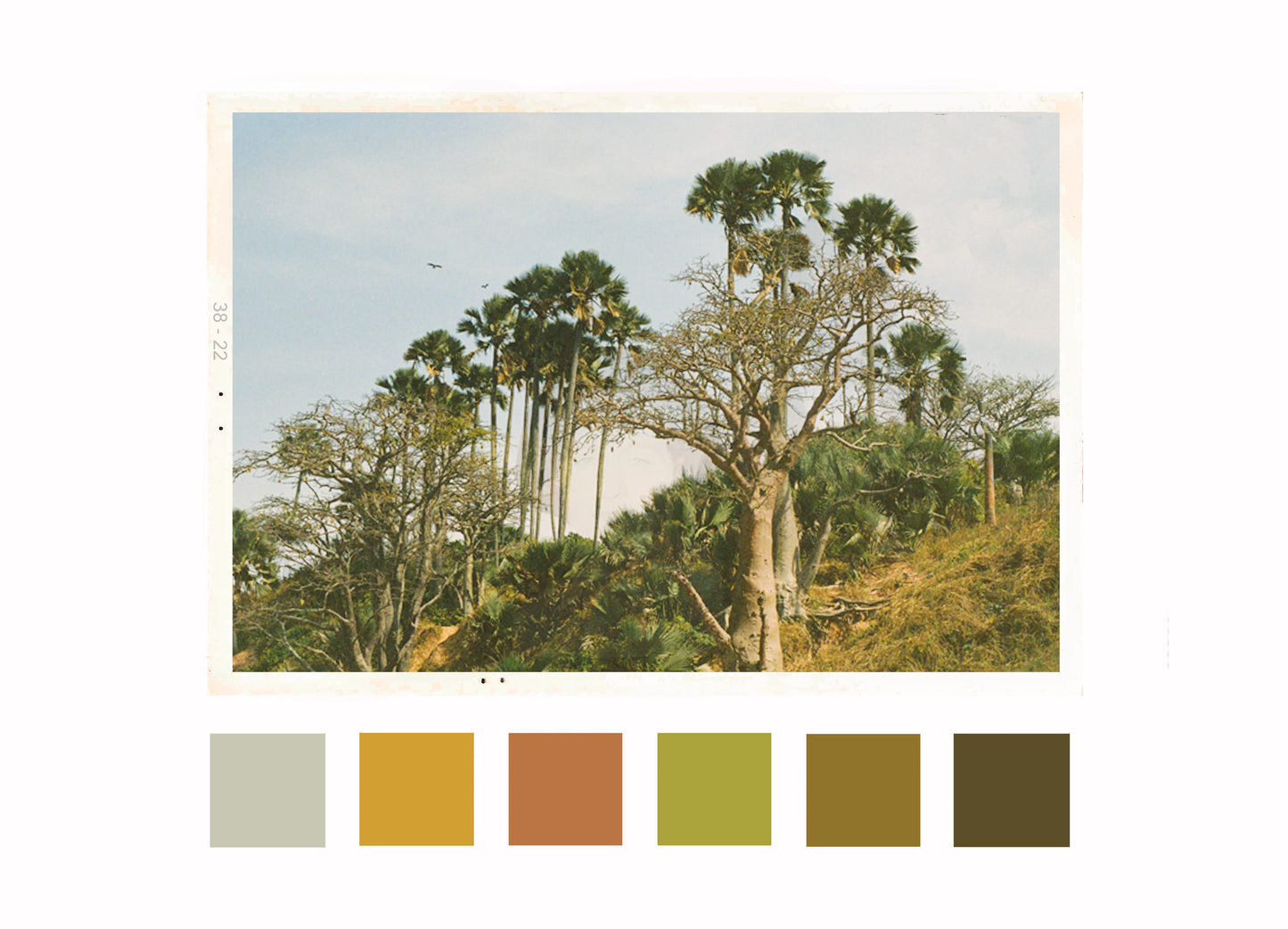 Maya Njie - Aethi Opum (EdP)