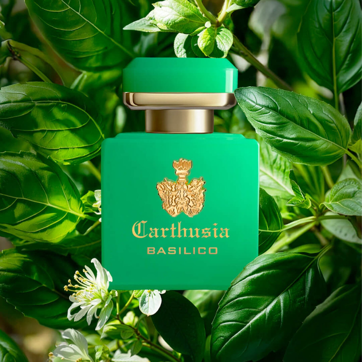 Carthusia - Intenso Collection - Basilico (EdE)