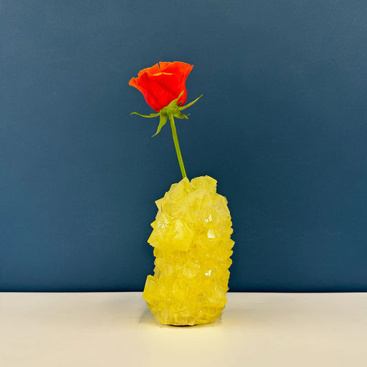 The Mineral Crystal Collection - Bud Vase