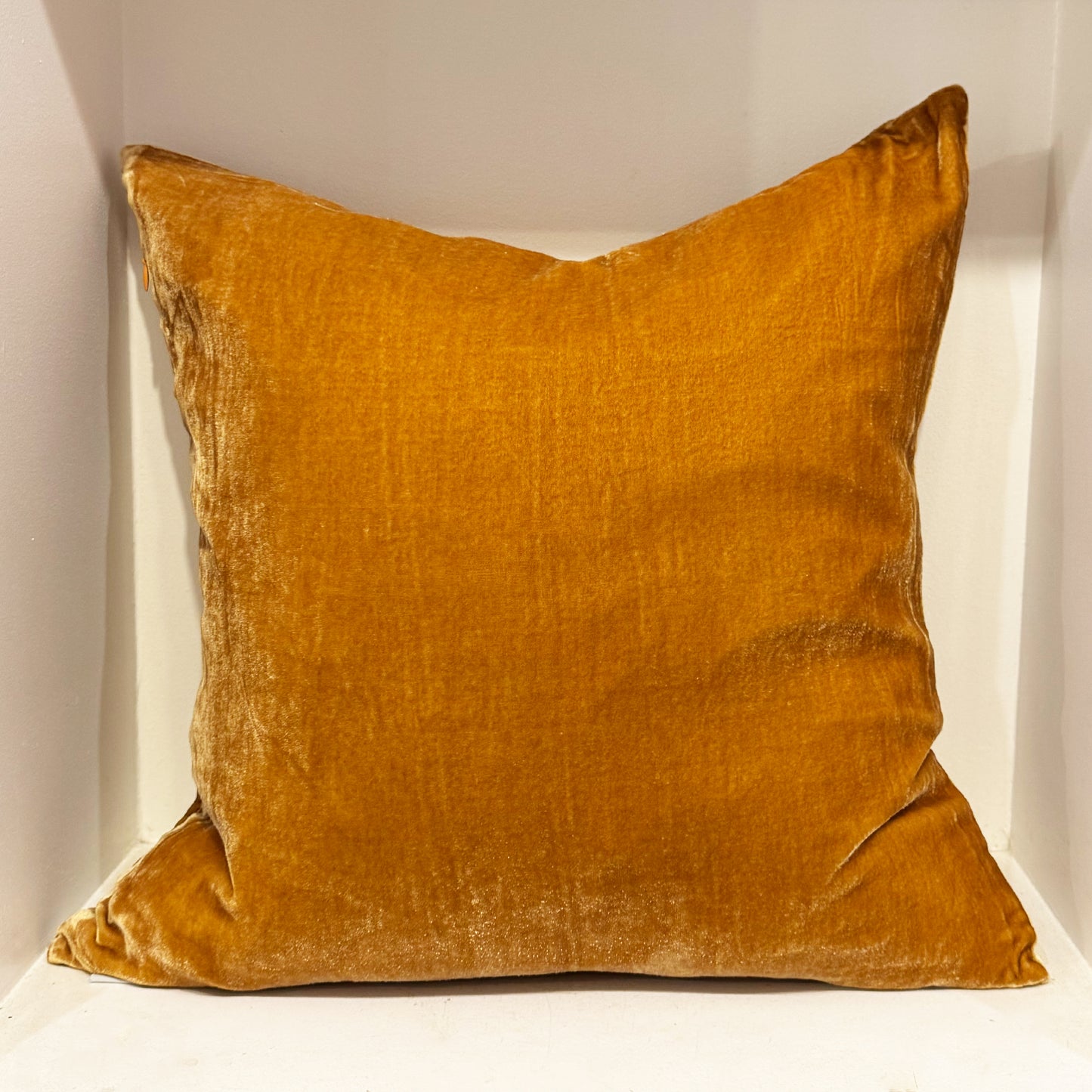 Silk Velvet Cushion