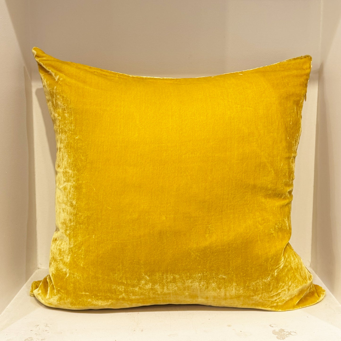 Silk Velvet Cushion