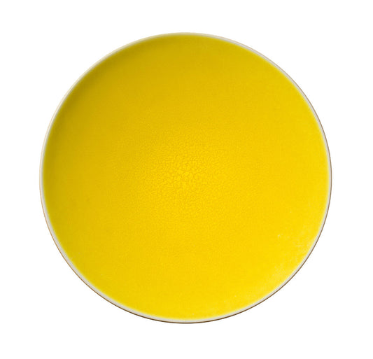 French Stoneware - Dinner Plate