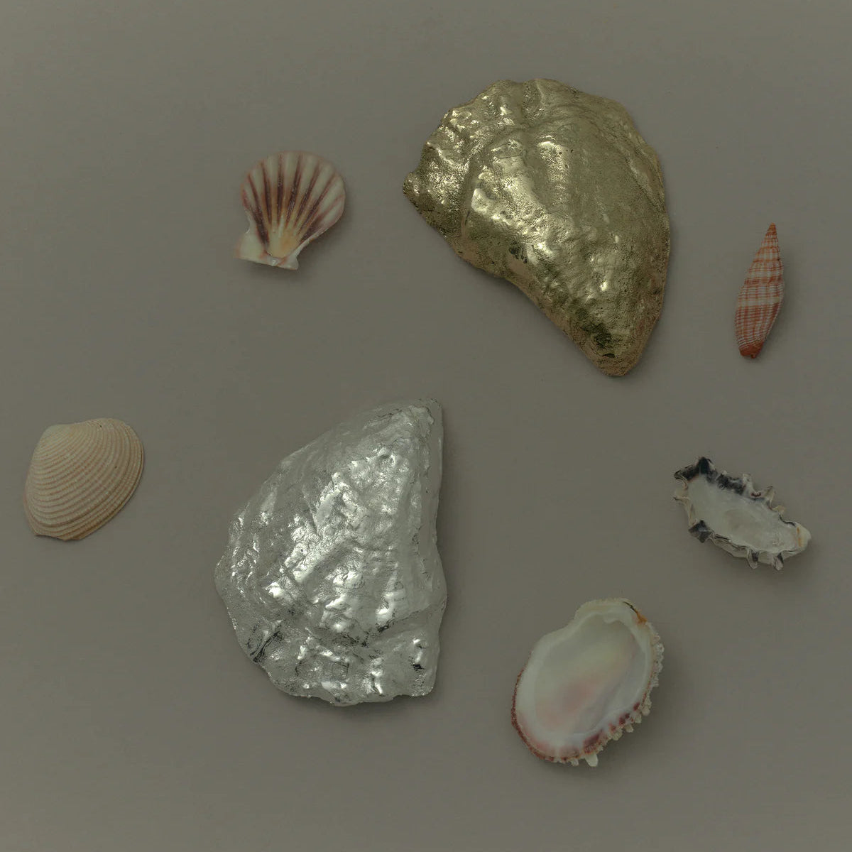 Oyster Incense Holder