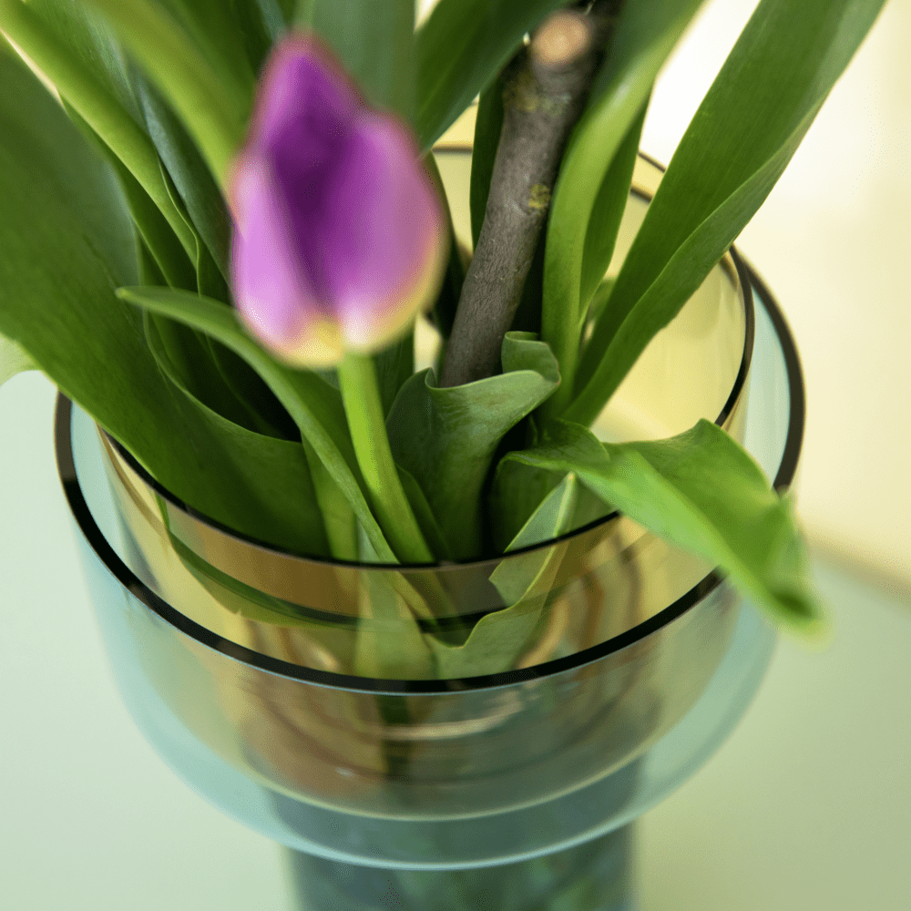 Duo Glass 'Aura' Vase