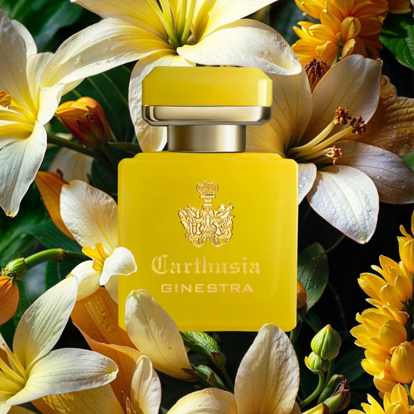 Carthusia - Intenso Collection - Ginestra (EdE)